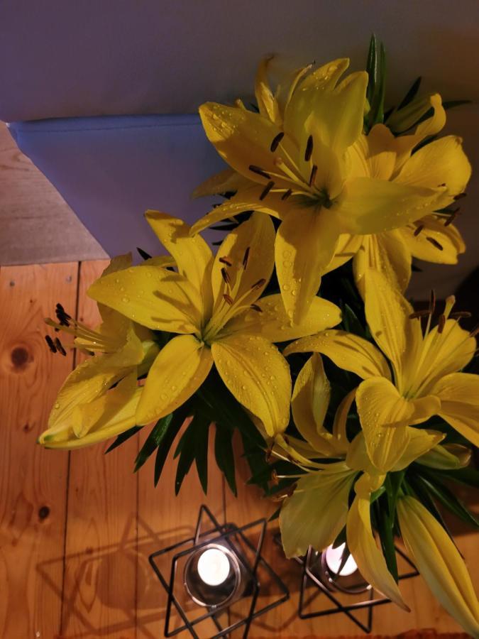 Apartament Lilla Jelenia Góra Exteriör bild