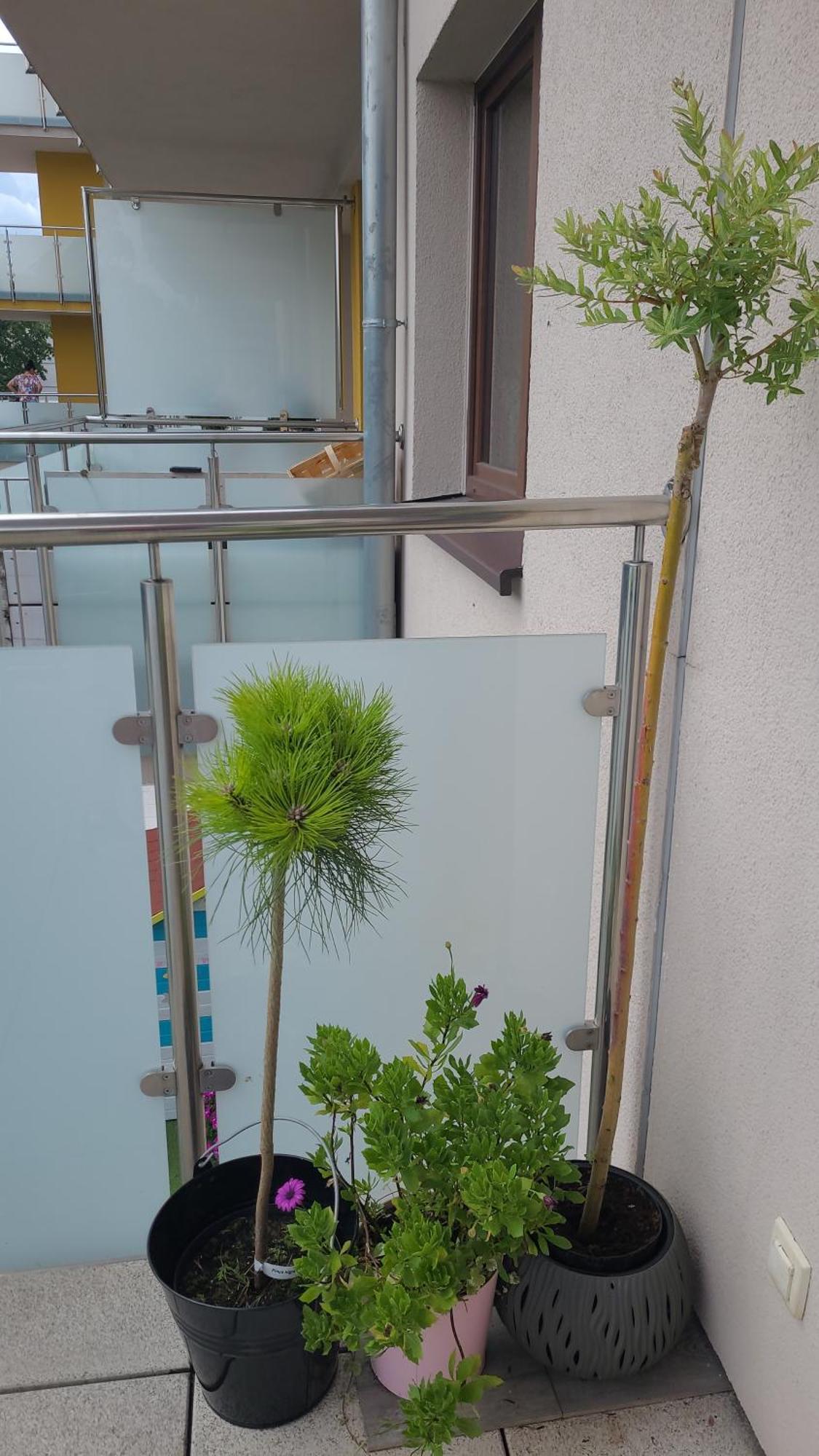 Apartament Lilla Jelenia Góra Exteriör bild